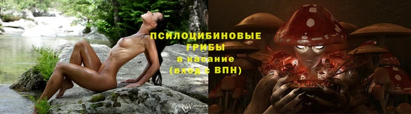 jwh Белокуриха