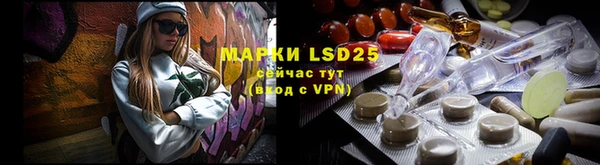 ПСИЛОЦИБИНОВЫЕ ГРИБЫ Струнино