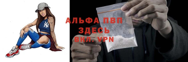 спиды Сосновый Бор