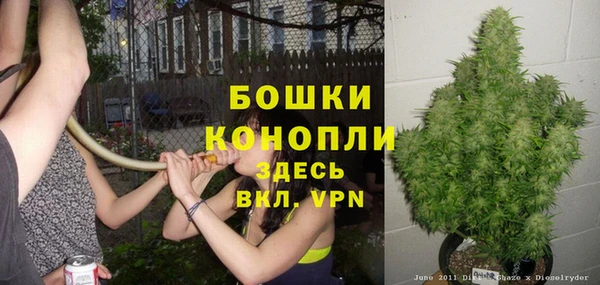 jwh Белокуриха