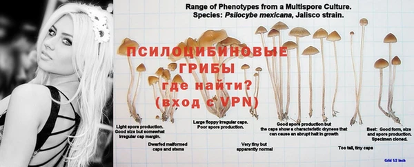 jwh Белокуриха