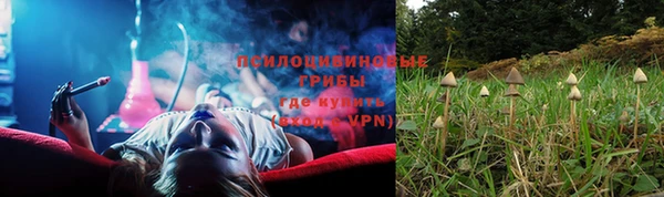 jwh Белокуриха