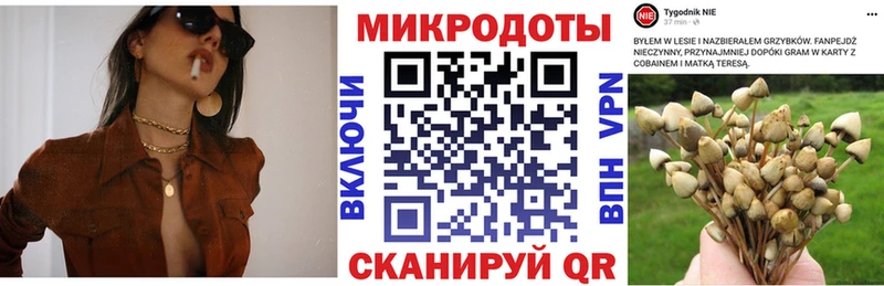 дарнет шоп  hydra tor  Галлюциногенные грибы MAGIC MUSHROOMS  Горнозаводск 