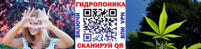 Канабис Amnesia  наркотики  Горнозаводск 
